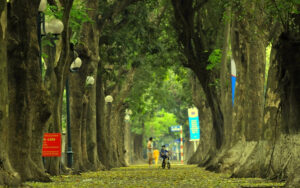 Cycling Route around Hanoi on Phan Dinh Phung Street