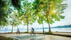 two people riding bicycles on a road