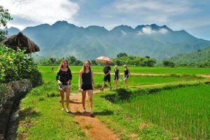 Sunny days mean safer travel