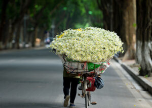 Tet in Hanoi: Top 7 Destinations for a Festive Holiday